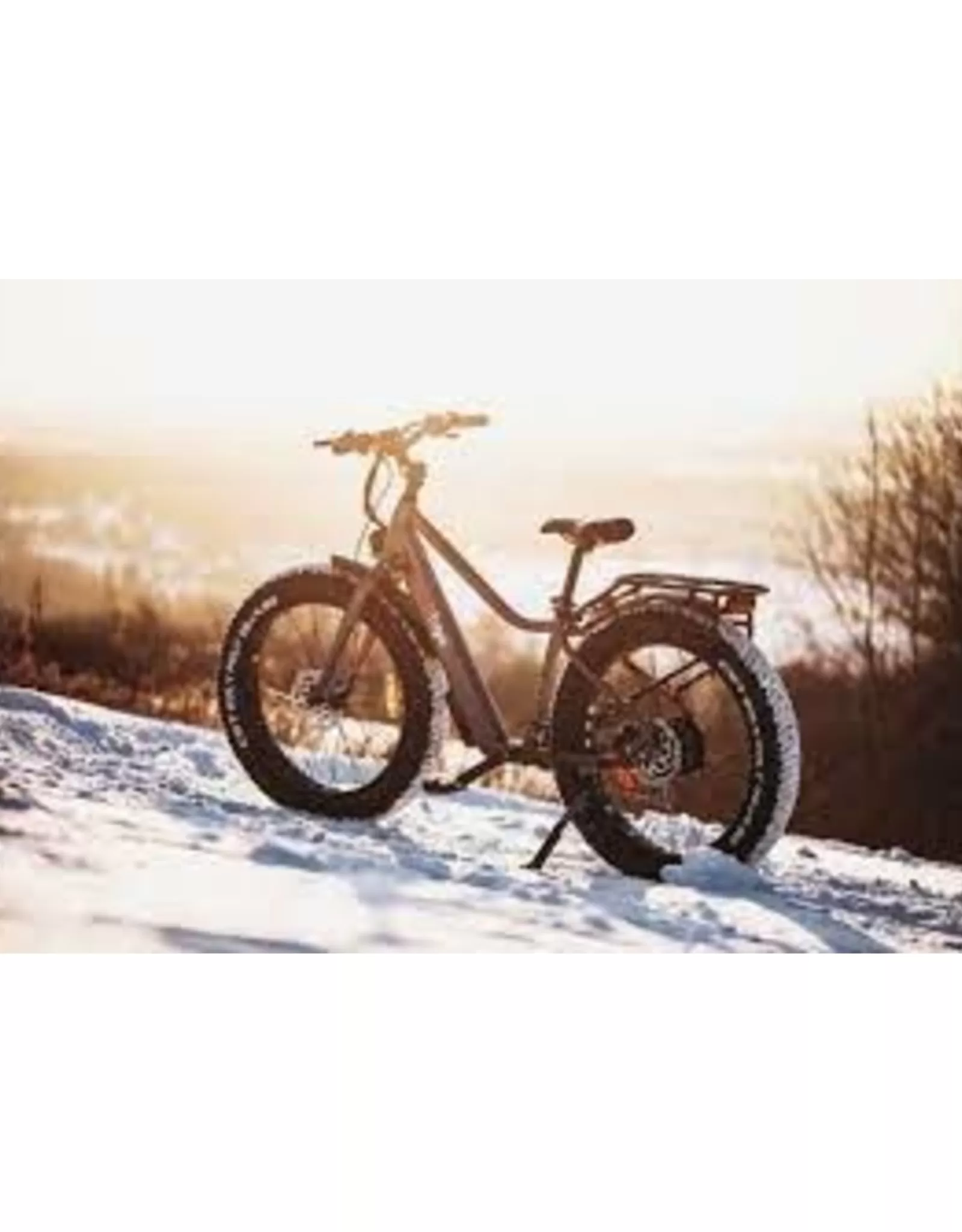 EBGO Open Box Ccef Fat Bike Grade A Sale